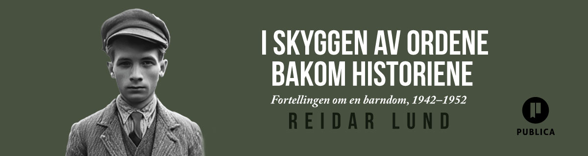 I skyggen av ordene bakom historiene